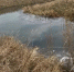 Прокуратура пресекла загрязнение реки Барга сточными водами в Рыбинском округе - Газета Красноярский рабочий