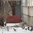 img - ЛДПР