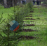 Фото ТГ-канала "Донбасс решает" - НИА