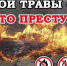 Весенне-летний пожароопасный период! - Росгвардия