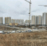 Фото: официальный сайт администрации Красноярска - НИА