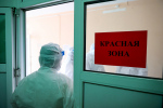Вирусолог предупредил о главной опасности хантавируса Илья Аверьянов, ИА PrimaMedia