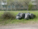 В Ачинске несколько недель не могут вывезти мусор после субботника