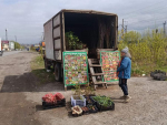 В Красноярском крае установлены факты реализации саженцев несуществующих сортов