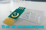 Кадр ТГ-канала "Донбасс решает"