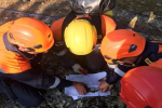 В Красноярском крае нашли мертвым пропавшего в лесу мужчину