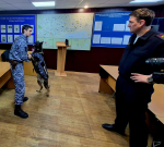 Общественники Норильска запустили проект помощи приюту бездомных животных
